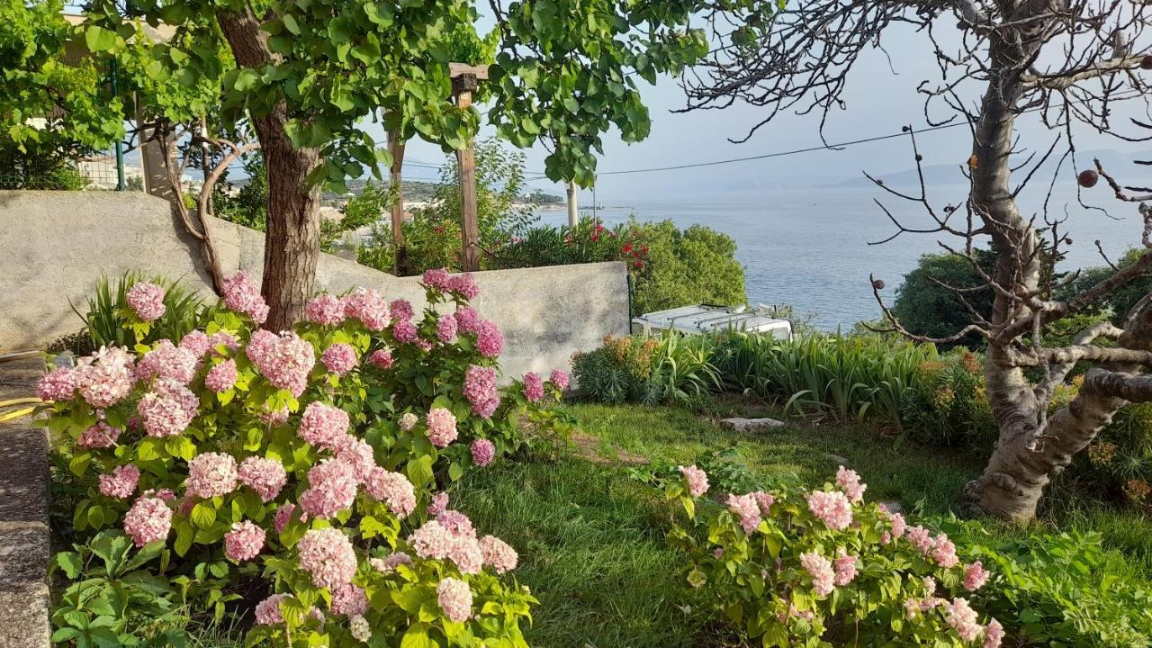 Apartments Mare Croatia Senj  Buitenkant foto